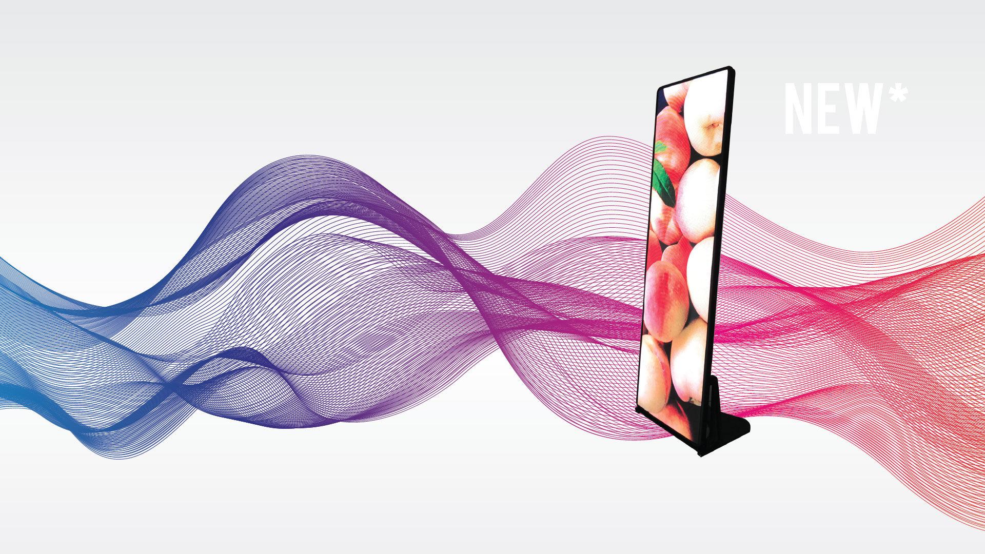 lorem ipsum dolor sit